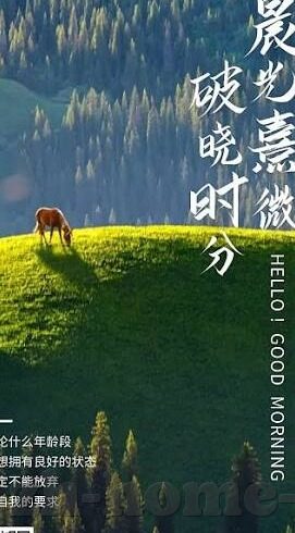 麻豆传媒视频免费看-麻豆传媒作品 - 免费的视觉享受之地