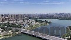 糖心视频app下载网页-建议，了解糖心视频APP，寻找下载页面与安全使用指南