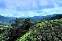 亚洲国产综合日韩av-探索亚洲影视文化的多元视角，日韩AV的独特魅力